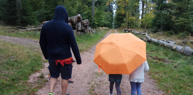 Balades d'automne