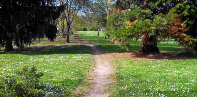 Des parcs et aires de jeux