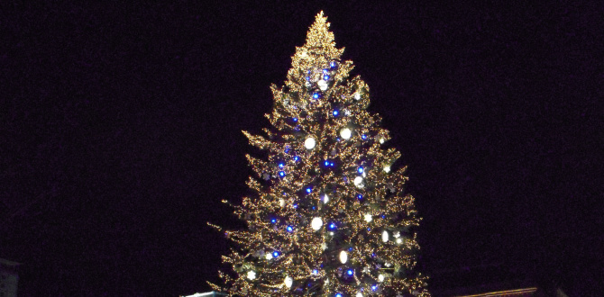 Fêtes de fin d'année