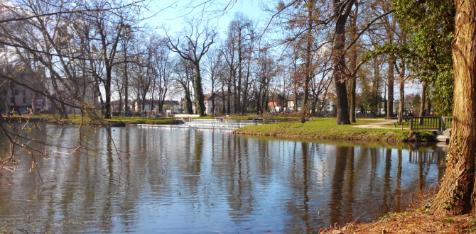 Parcs et aires de jeux