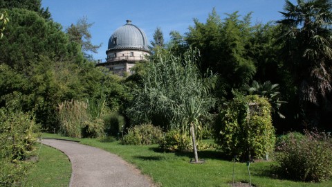 Jardin botanique de Strasbourg