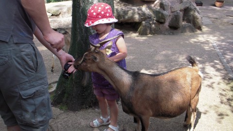 Zoo de Saarbrücken