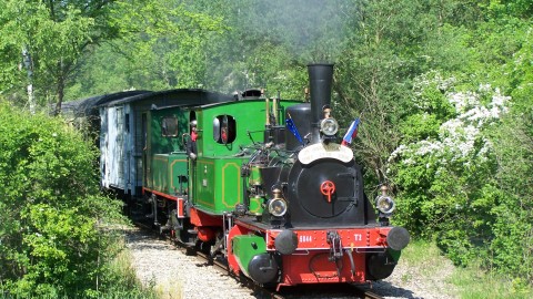 Ried Express