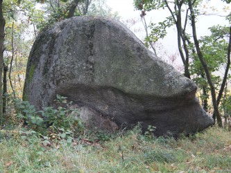 Petit circuit des roches