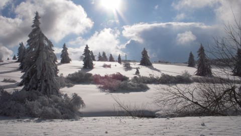 Raquettes à neige au Champ du feu