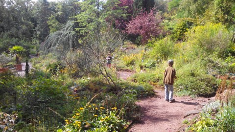 Jardin Botanique de Saverne