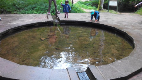 Fontaine Mélanie