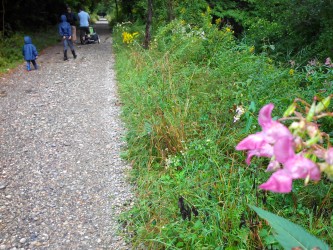 Sentier des Sources