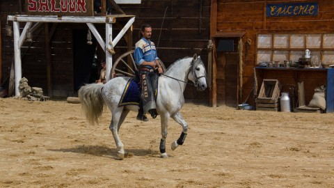 Nature de Cheval