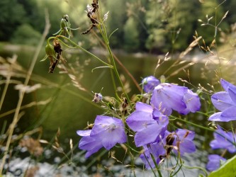 Festival des Paysages