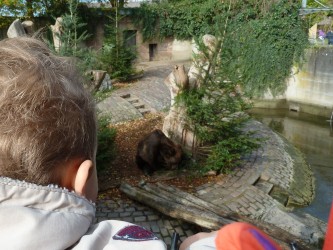 Parc animalier du Mundenhof