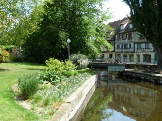 Musée d'Histoire Naturelle de Colmar