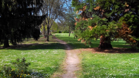 Parc de la Bergerie