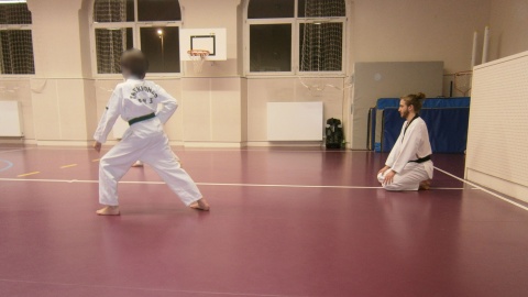 Association Taekwondo Strasbourg