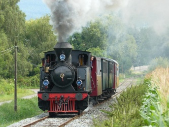 Train Thur Doller