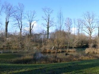 Parcours de santé de Rhinau