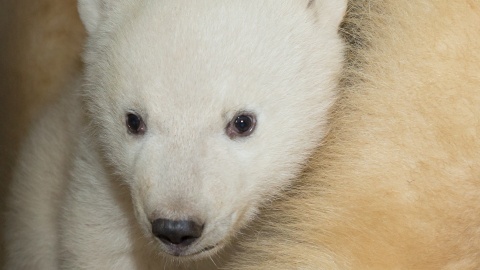 Zoo de Mulhouse