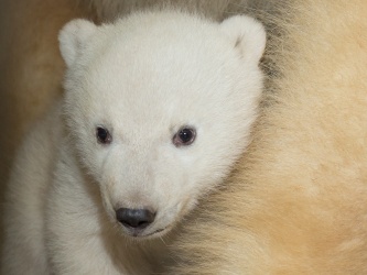 Zoo de Mulhouse