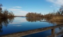 Réserve naturelle du Taubergiessen