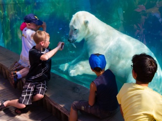 Zoo de Mulhouse