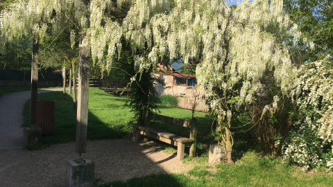 Sentier Villé et alentours