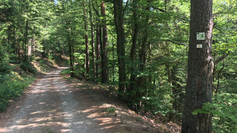 Sentier du Climont