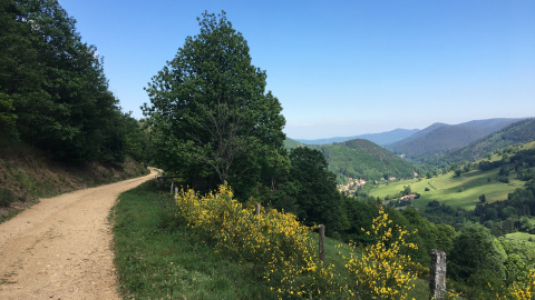 Sentier du Col d’Urbeis