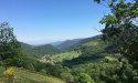 Sentier du Col d’Urbeis