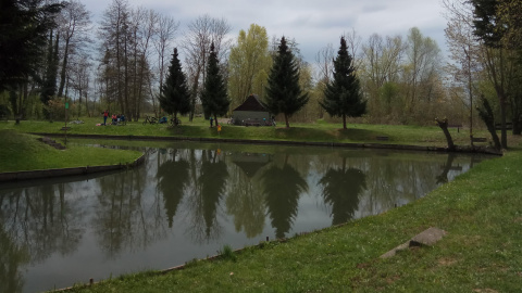 Etang et daims à Hangenbieten