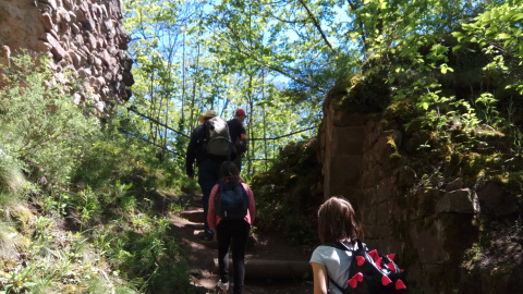 Du Hohenstein aux deux châteaux de Ringelstein