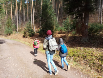 Sentier des Géants du Nideck