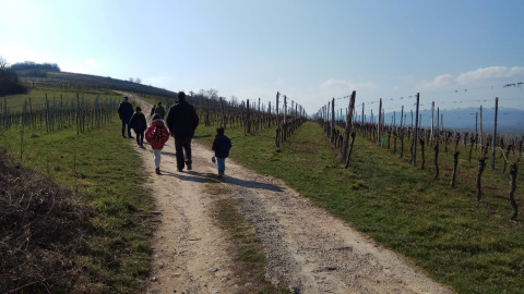 Sentier des casemates