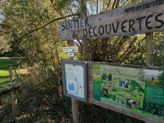 Sentier découvertes de Dieffenbach