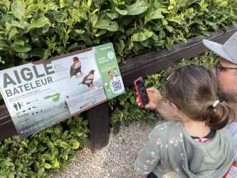 Volerie des aigles