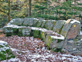 Sur les traces de l'écureuil